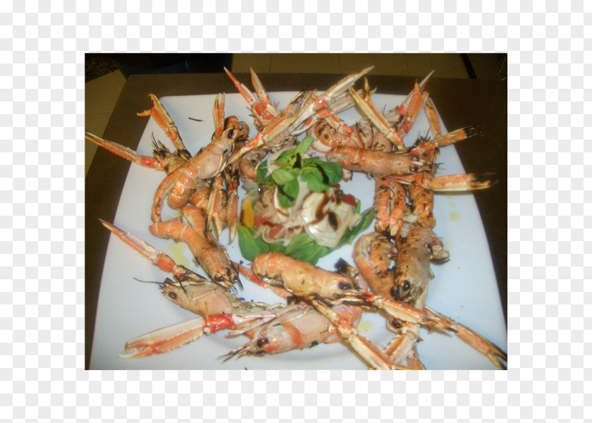 Pepe Grillo Prawns Skewer Recipe Dish PNG