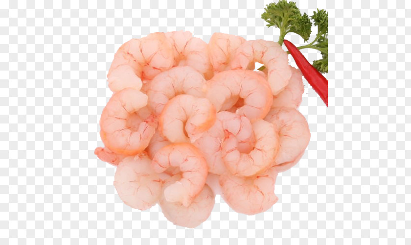 Shrimp With Peppers Caridea Chili Con Carne Bell Pepper PNG
