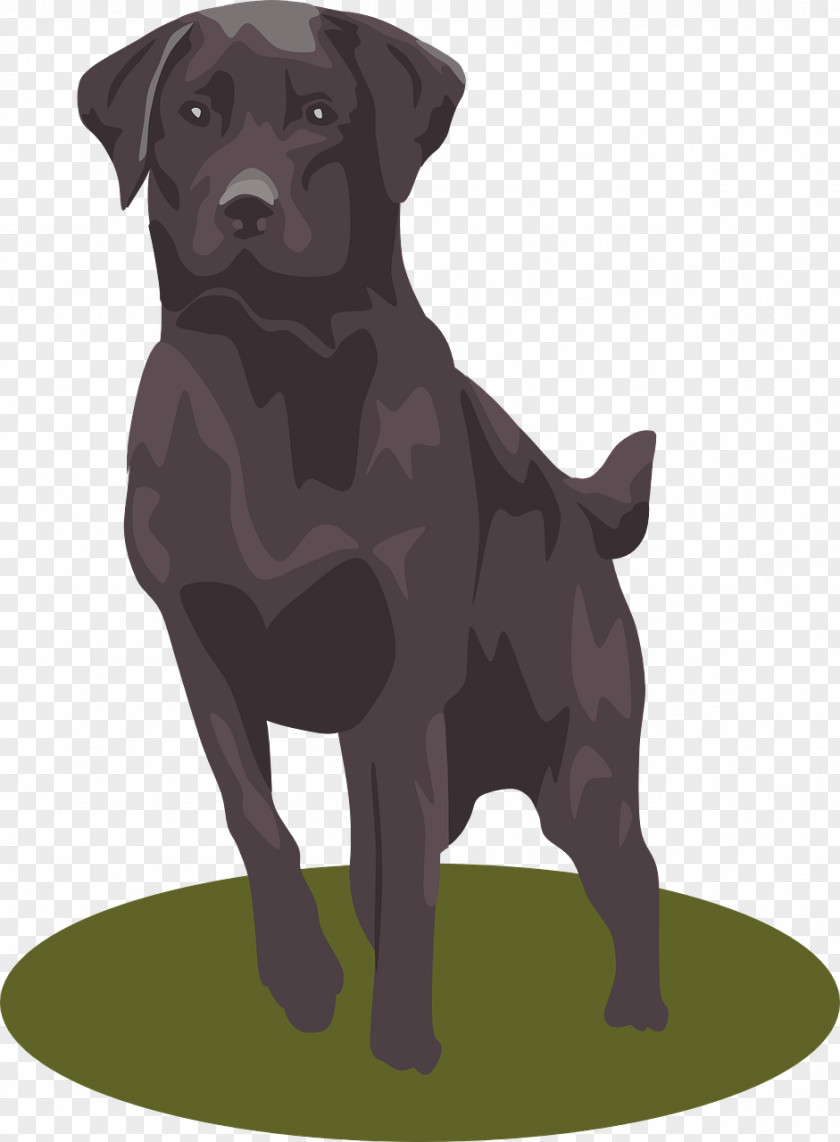 Black Dog Labrador Retriever Puppy Clip Art PNG