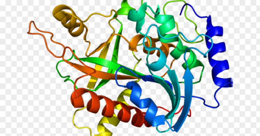 C1GALT1 Protein Research Market Analysis PNG