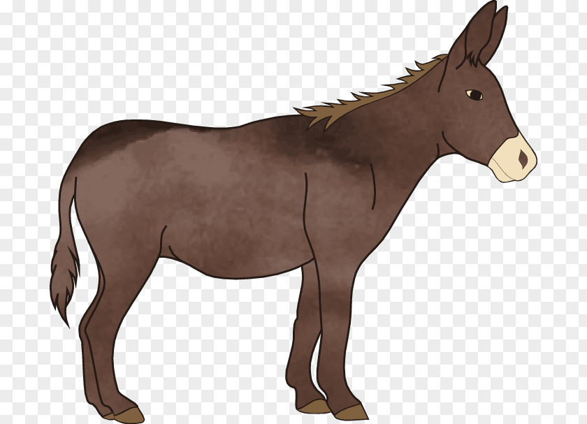 Donkey Vector Watercolor Mule T-shirt Pony PNG