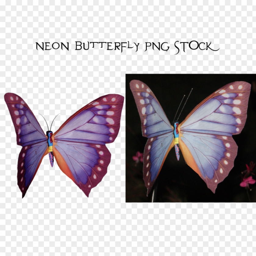 Neon Butterfly DeviantArt Download Tigger Stock PNG