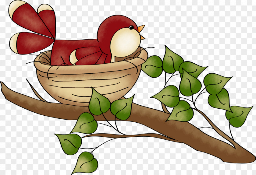 Bird Cartoon Nest American Robin Clip Art PNG