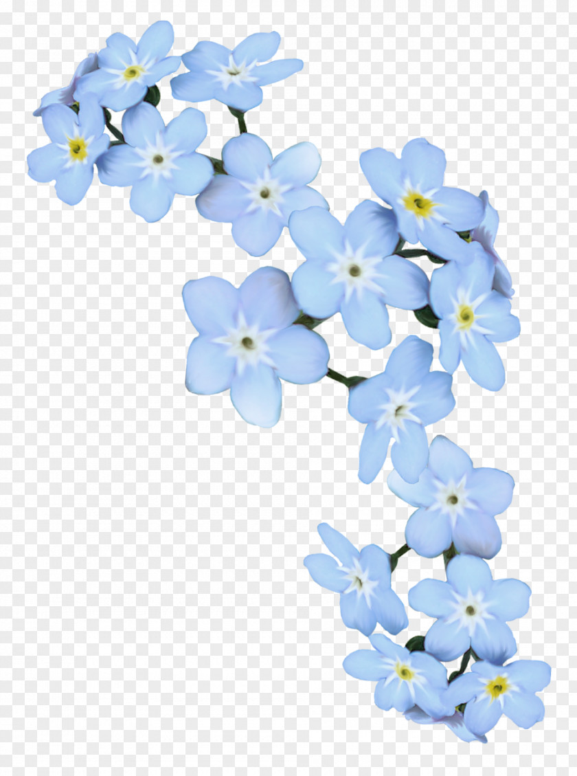 Blue Flower PNG