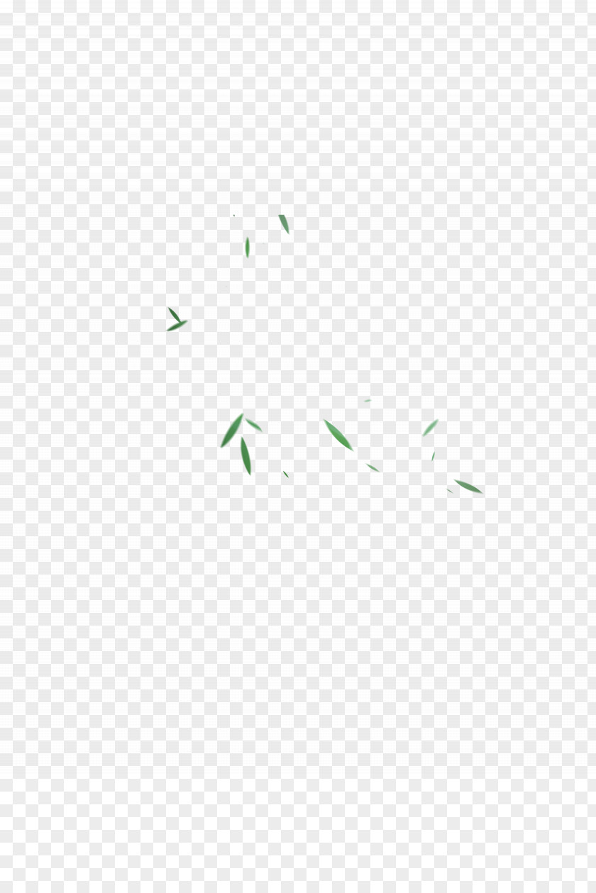 Floating Bamboo Logo Desktop Wallpaper Leaf Font PNG