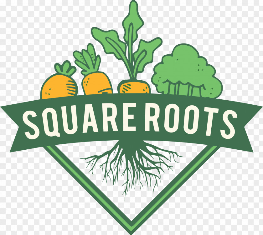 Food Roots Square Root Area Produce PNG