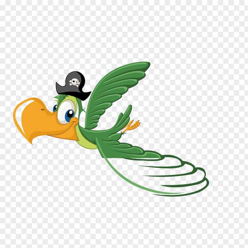 Green Parrot Bird Drawing Vector Graphics Image Illustration PNG