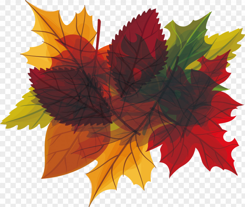Leaves Heading Box In Autumn Leaf Euclidean Vector PNG