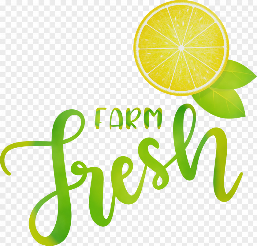 Lime Logo Lemon Meter Font PNG