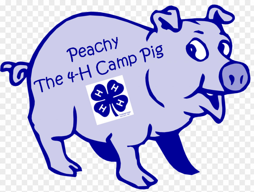 Pig Cartoon Clip Art PNG