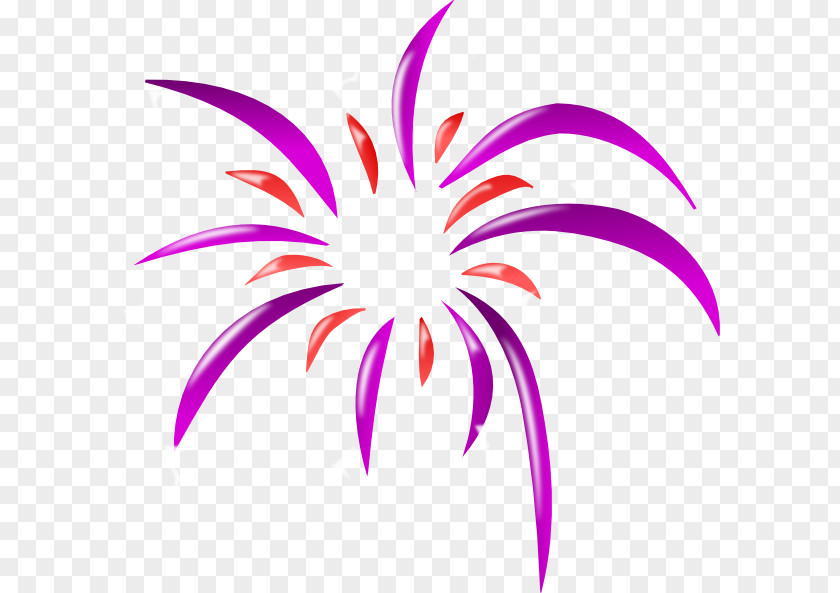 Pink Fireworks Cliparts Cartoon Clip Art PNG