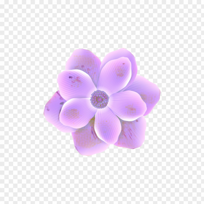 Violet Purple Lilac Petal Drawing PNG