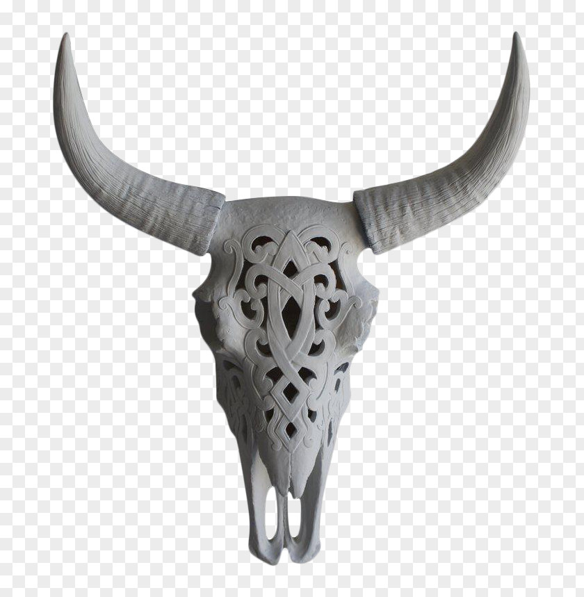 Bison Texas Longhorn Skull Bull PNG