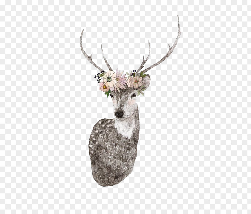 Deer Decorative Material Drawing Moose Elk Illustration PNG