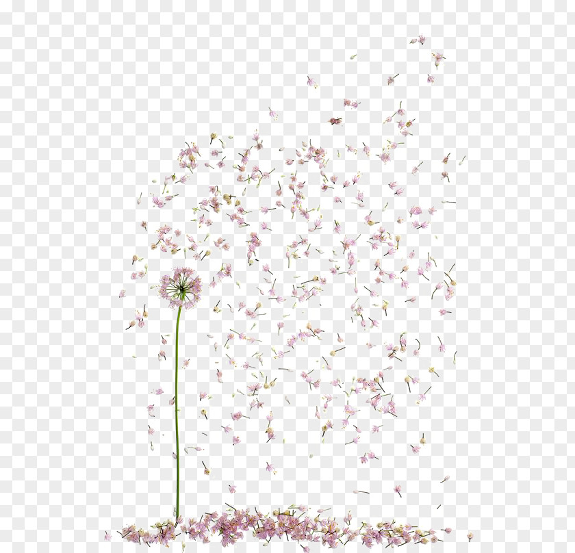 Falling Flowers Floral Design Petal Flower Clip Art PNG