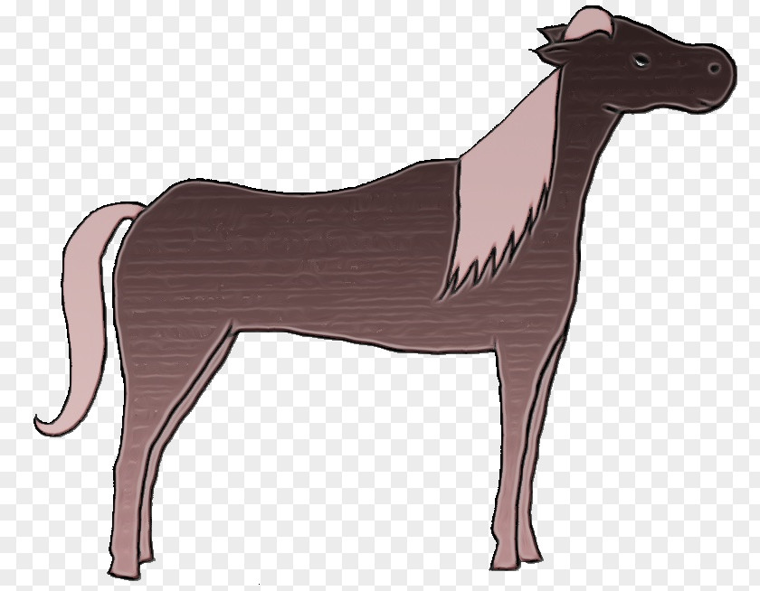 Llama Fawn Dog Mustang Camel Yonni Meyer Horse PNG