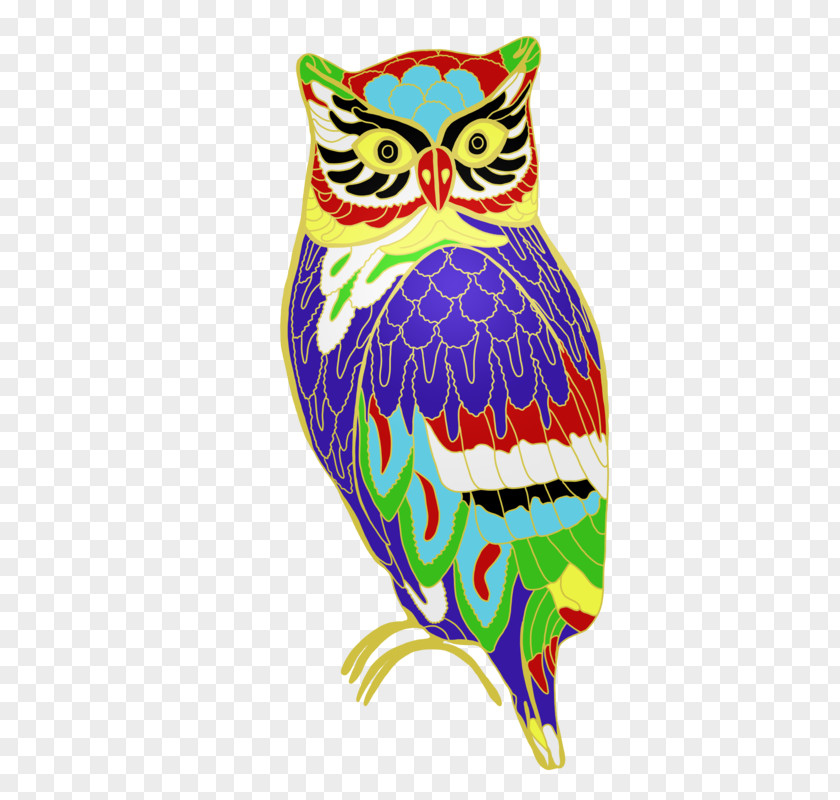 Owl Beak Feather PNG