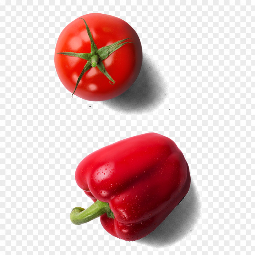 Tomato Pepper Bell Plum Piquillo Vegetable PNG