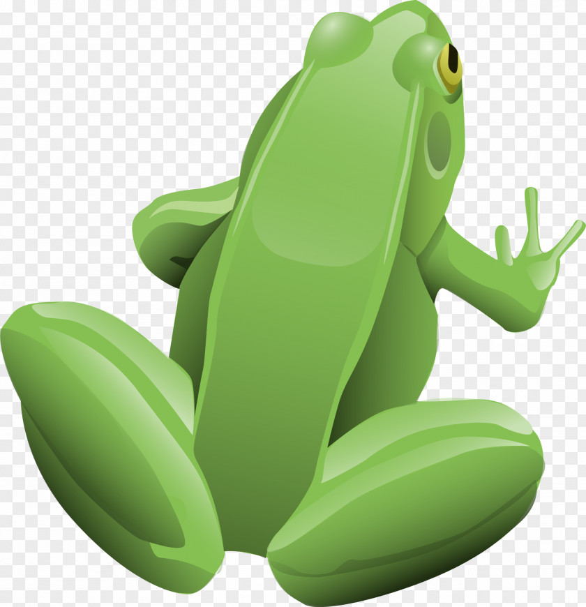 Vector Frog And Toad Clip Art PNG