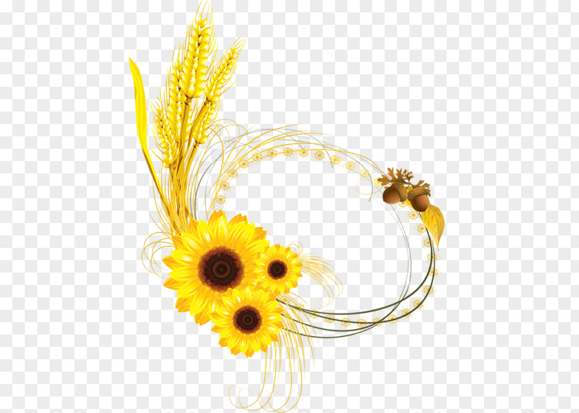 Common Sunflower Decorative Borders Wheat Clip Art PNG