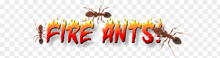 Insect Red Imported Fire Ant Pest Control PNG