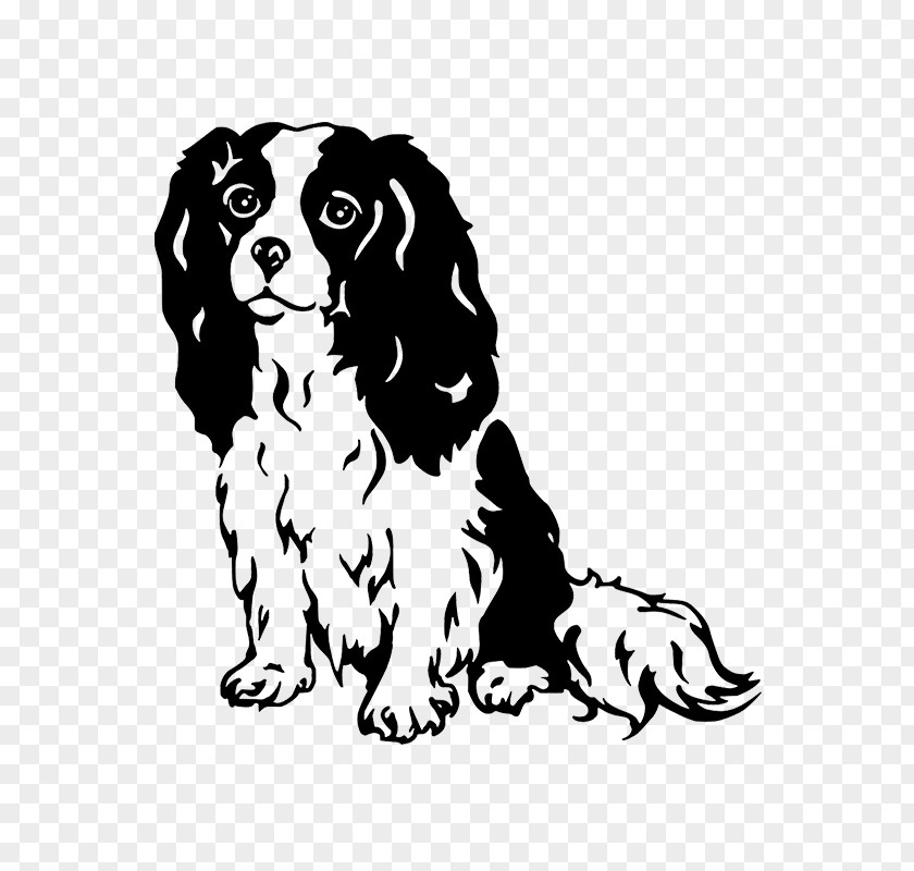 Puppy Cavalier King Charles Spaniel English Springer Dog Breed PNG