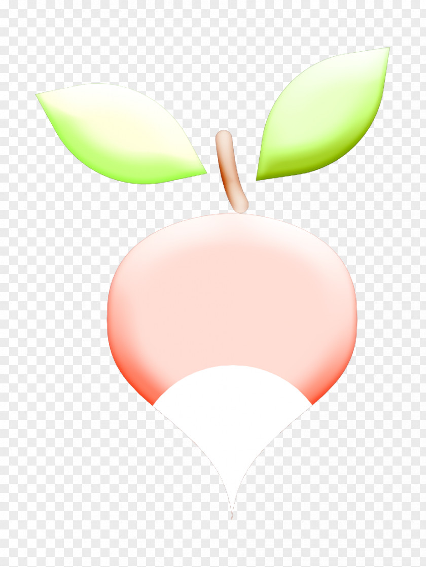 Radish Icon Gastronomy Set PNG