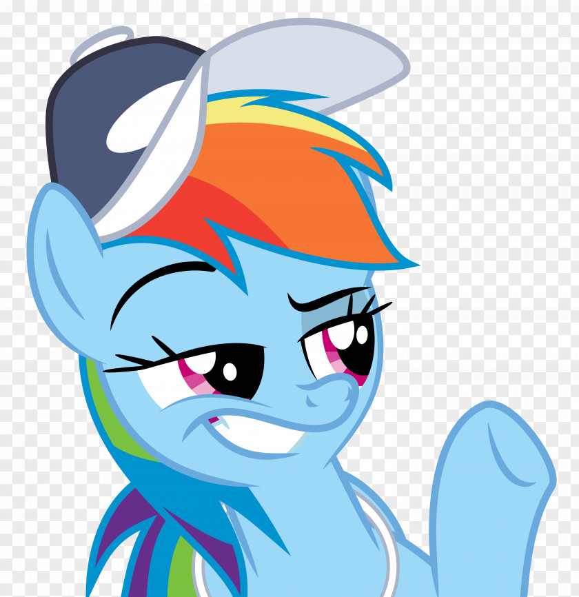 Rainbow Hair Pony Dash Twilight Sparkle Applejack Pinkie Pie PNG