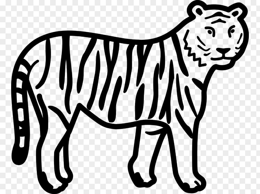 Tiger Coloring Book Lion Paw Cuteness PNG