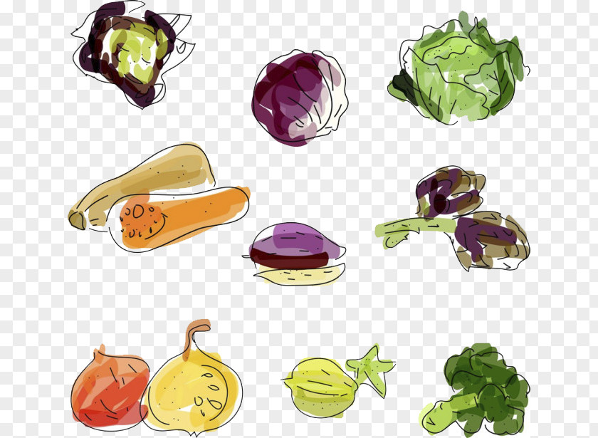 Vegetables Vector Material Vegetable Food Fruit PNG