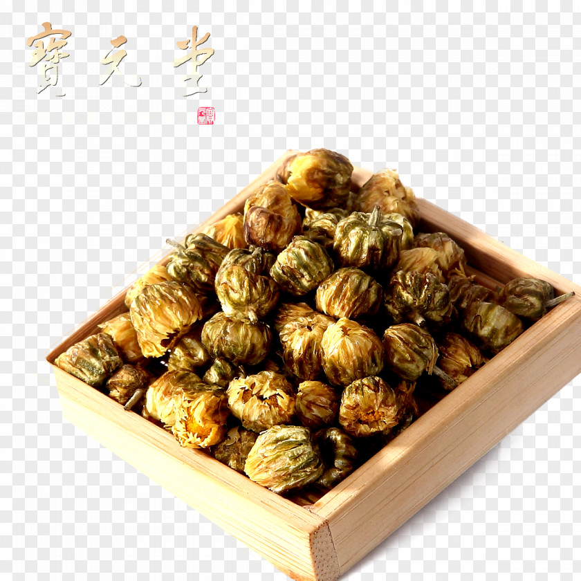 Chicken Chrysanthemum Material Xd7grandiflorum Flowering Tea Icon PNG