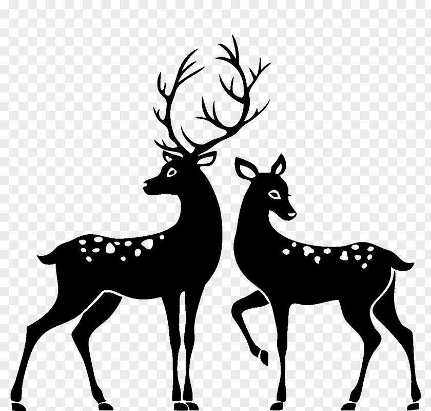 Deer White-tailed Reindeer Roe Clip Art PNG