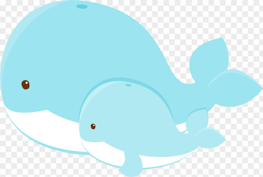 Dolphin Whales, Dolphins And Porpoises Illustration Marine Biology PNG