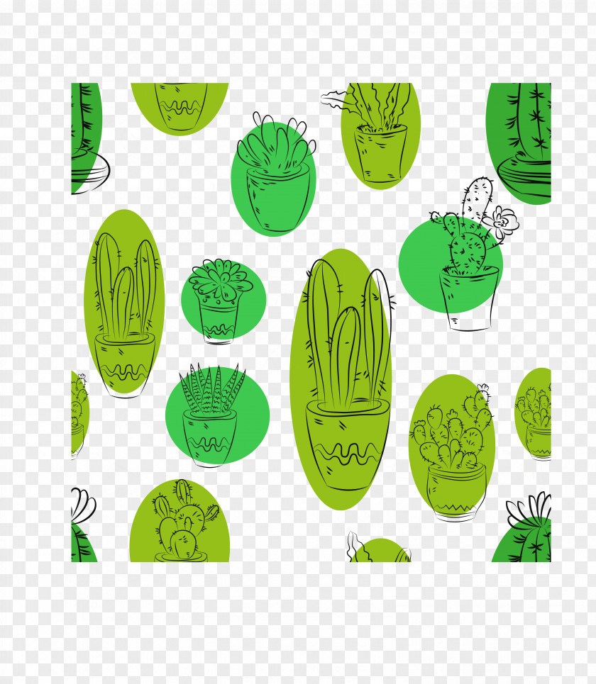 Green Cactus Drawing Illustration PNG