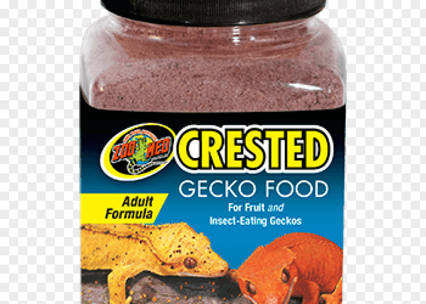 Lizard Reptile Crested Gecko Food Rhacodactylus PNG