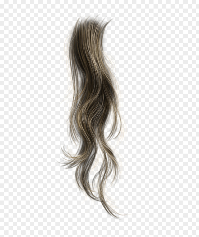 Pegasus Hair Brown Wig Long PNG