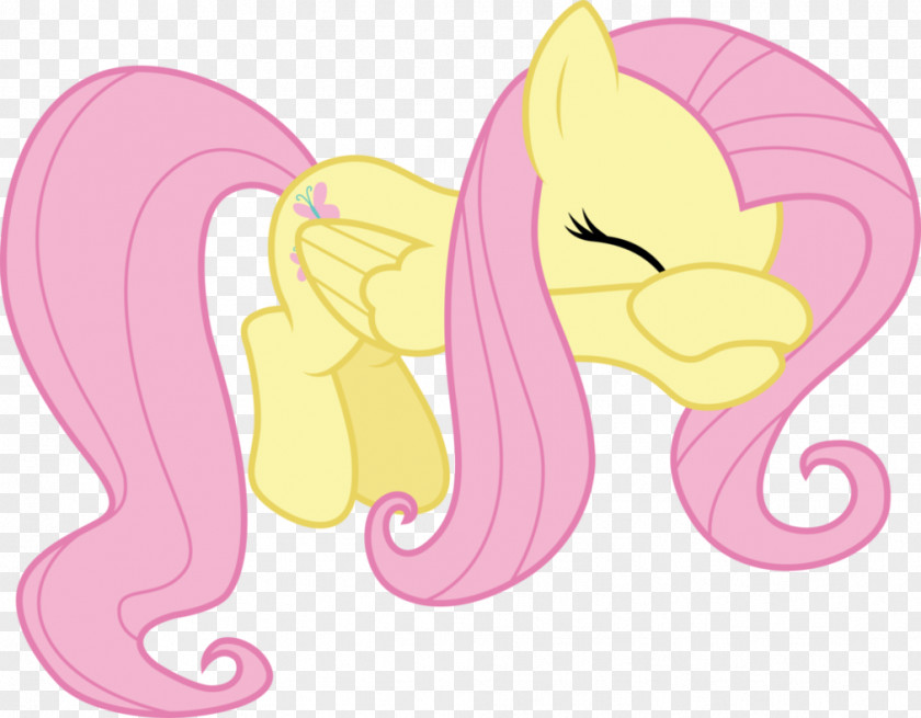 Shy Fluttershy Pinkie Pie Twilight Sparkle Rarity Rainbow Dash PNG