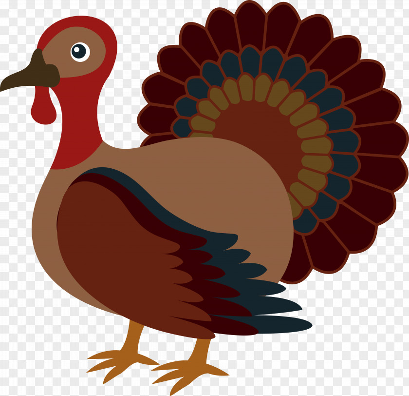 Transparent Cranberry Cliparts Turkey Meat Thanksgiving Clip Art PNG