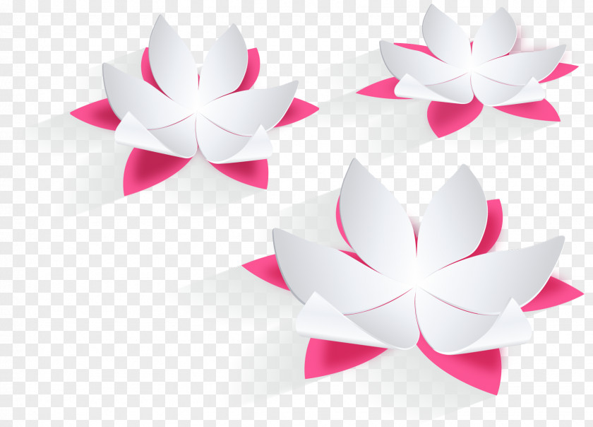 Vector Paper Folded Lotus Nelumbo Nucifera Euclidean Download PNG