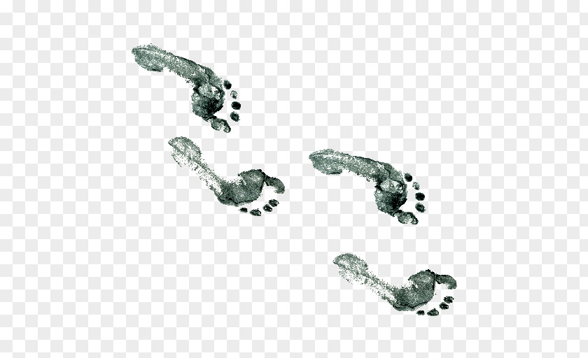 Walking Footprint Paper Trail PNG