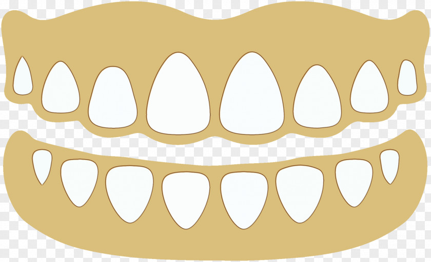 Dentures Mouth Jaw Clip Art PNG