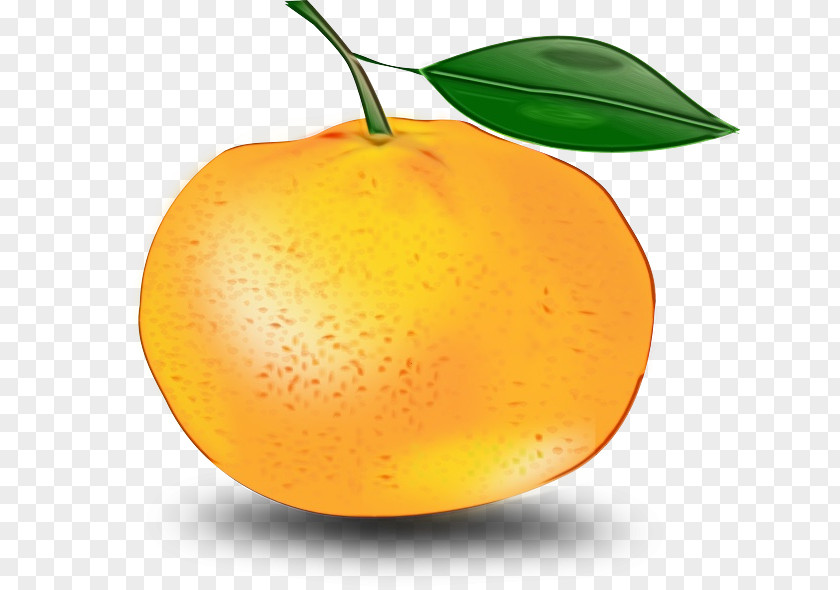 Pear Seedless Fruit Cartoon PNG