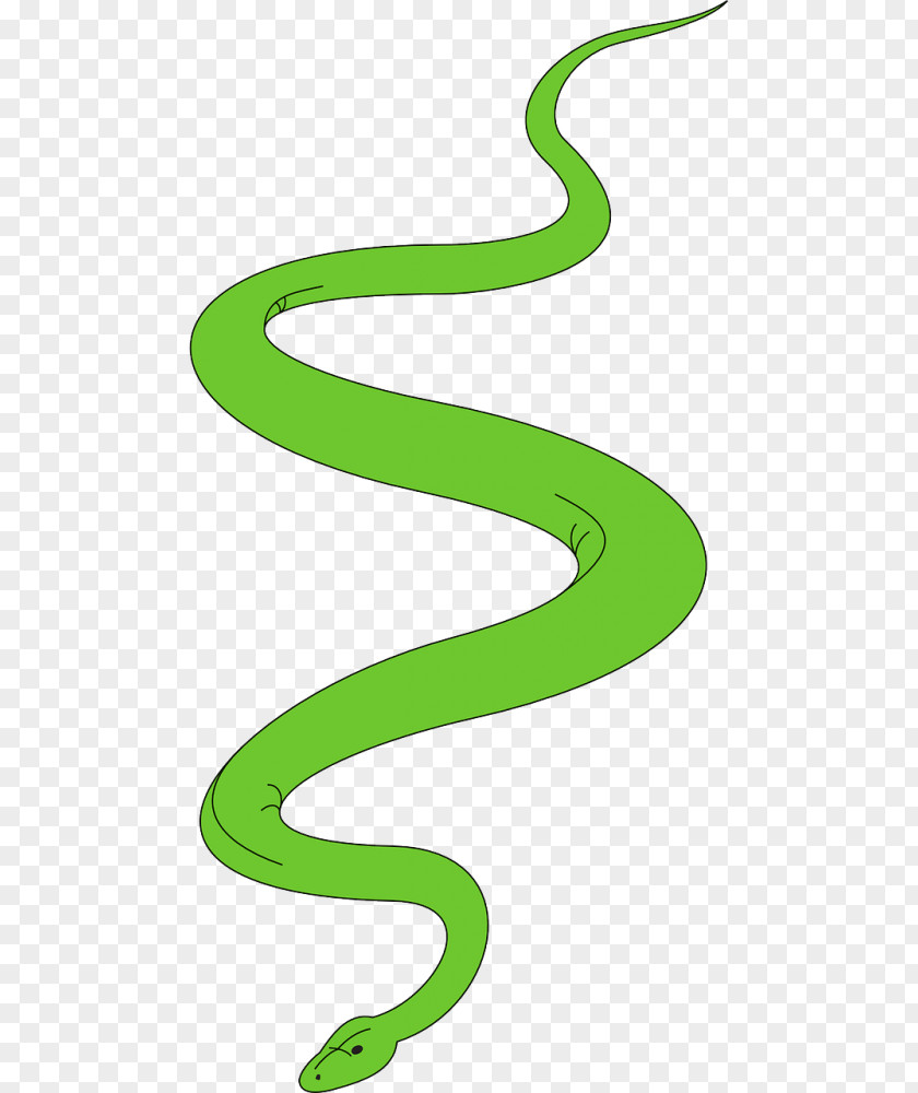 Symbol Green Background PNG