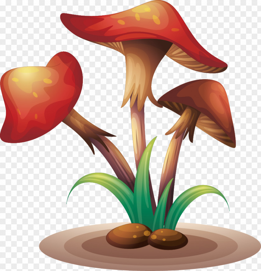 Wild Mushrooms Fungus Mushroom Clip Art PNG