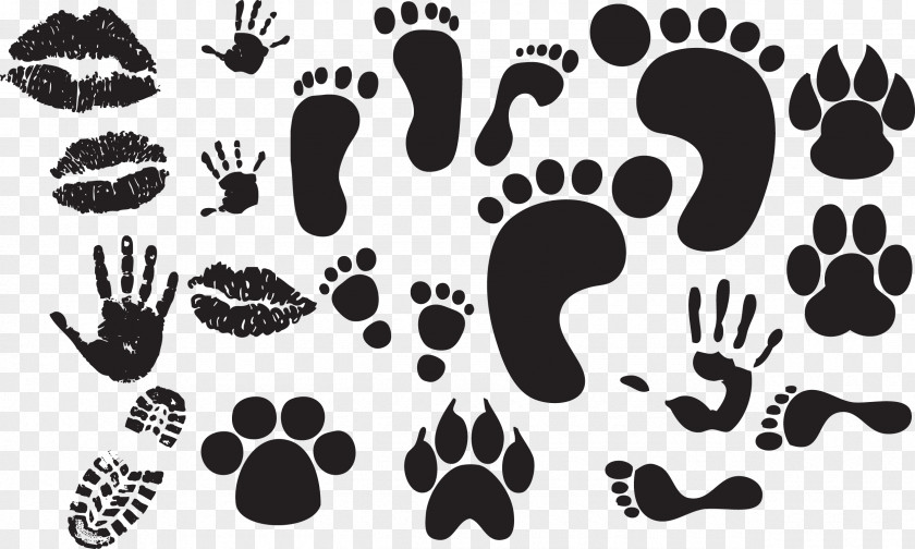 Footprints Footprint Download Clip Art PNG