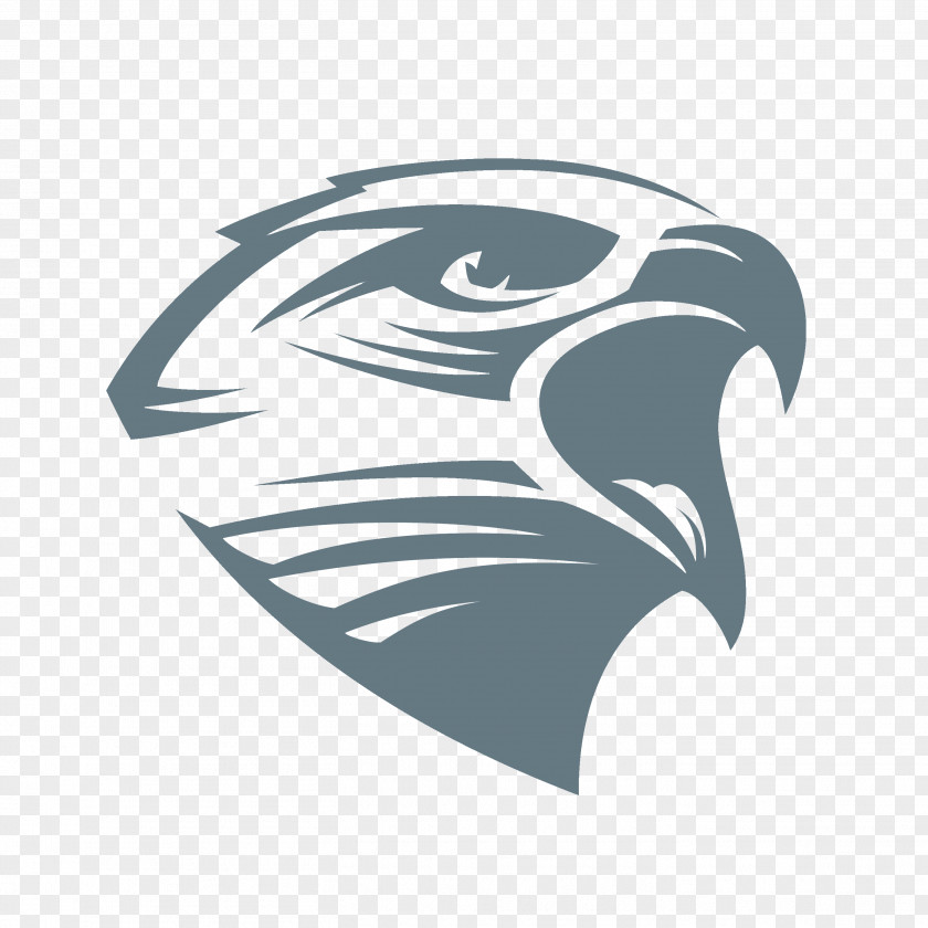 Hawk Bald Eagle Logo PNG
