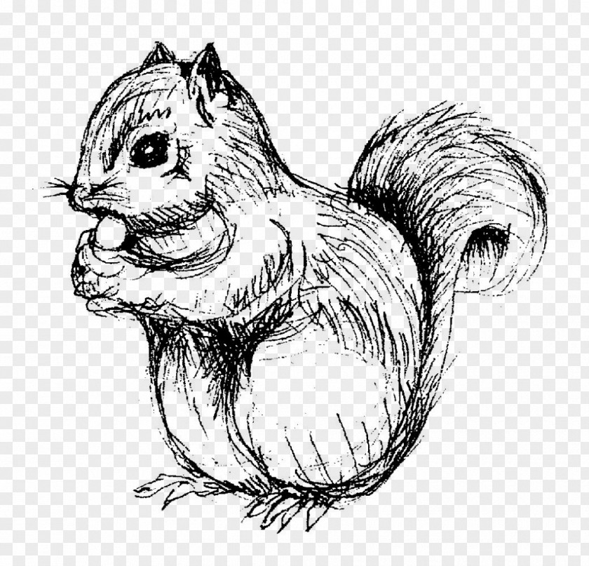 Squirrel Chipmunk Drawing Line Art Sketch PNG