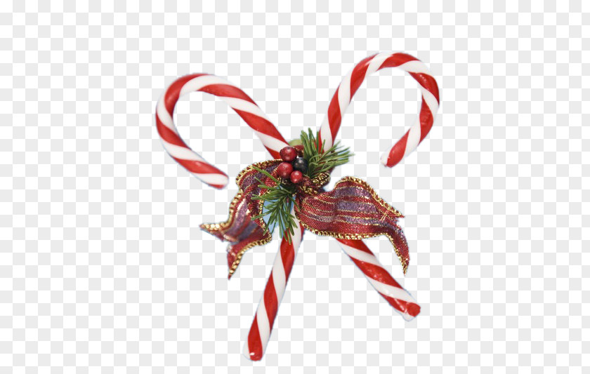 Christmas Candy Cane Santa Claus Gift PNG