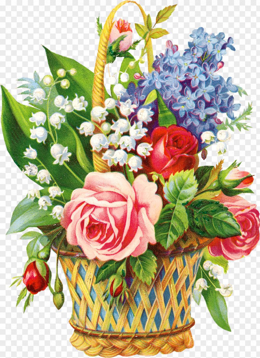Lily Of The Valley May 1 Party Valentine's Day International Workers' Flower PNG