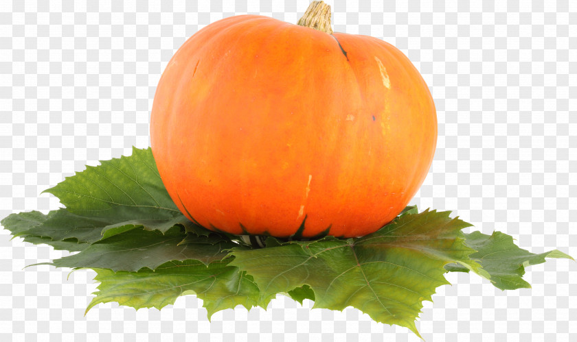 Pumpkin PNG Image Pie Cucurbita Pepo Jack-o'-lantern PNG